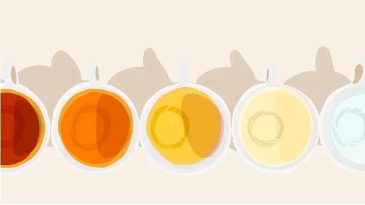 Dr. David Shusterman: What Your Urine Color Says About Your Health