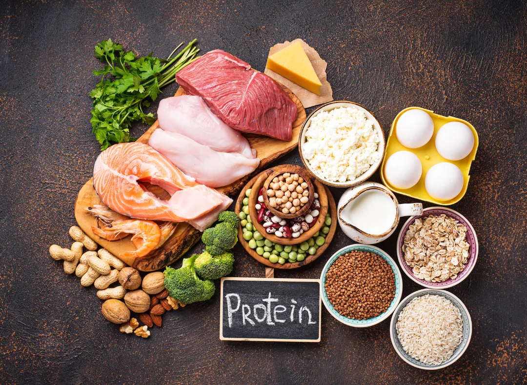 The Effects of Excessive Protein: Separating Fact from Fiction